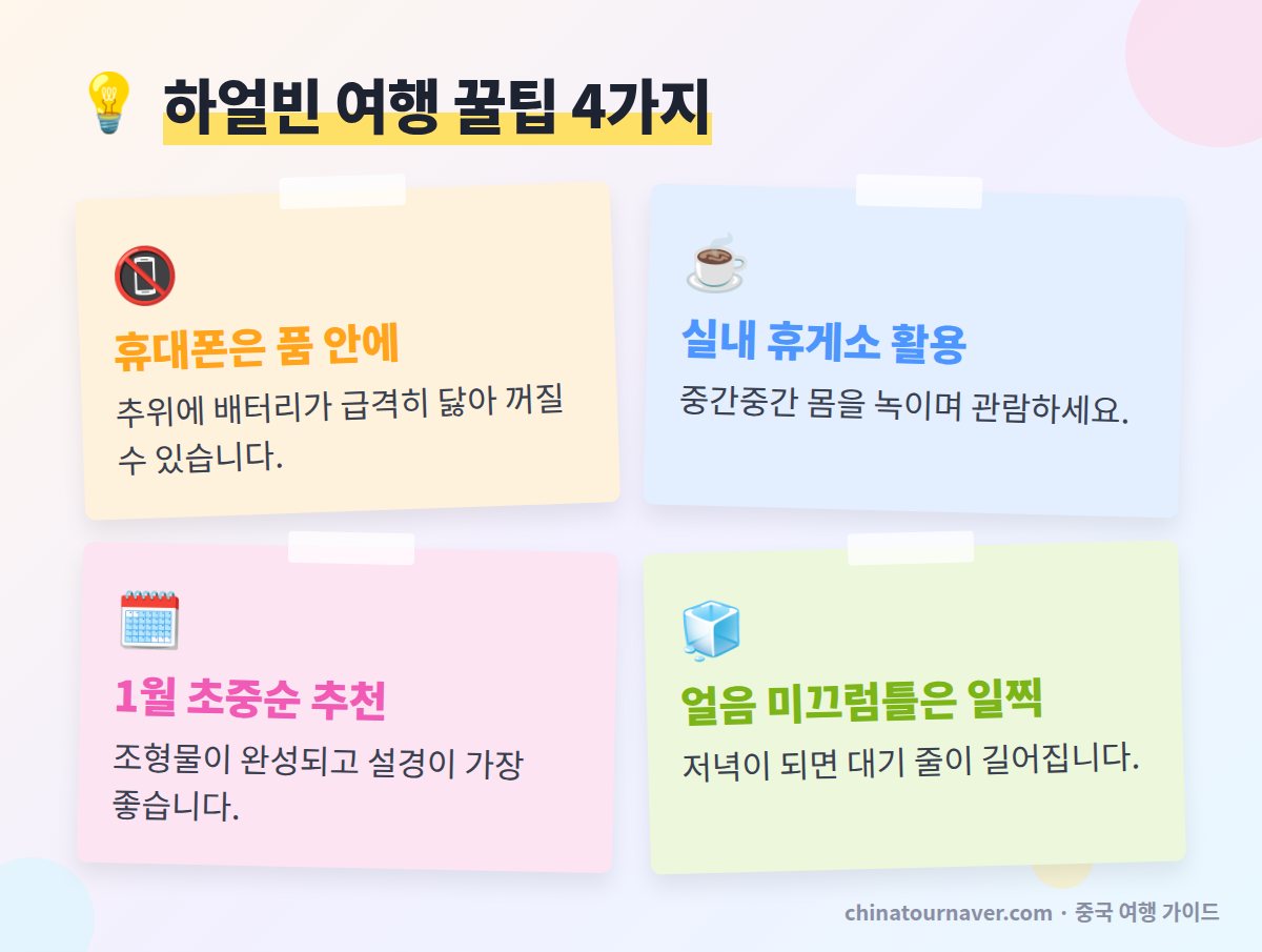 하얼빈 겨울 여행 꿀팁