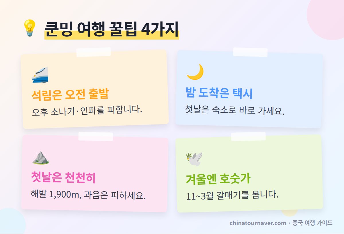 쿤밍 여행 꿀팁 석림 오전 출발 밤 도착 택시 고원 첫날 무리 금지 갈매기 시즌